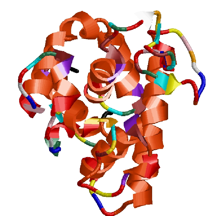 dataset/images/genbase.jpg