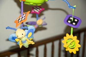 dataset/images/nursery.jpg
