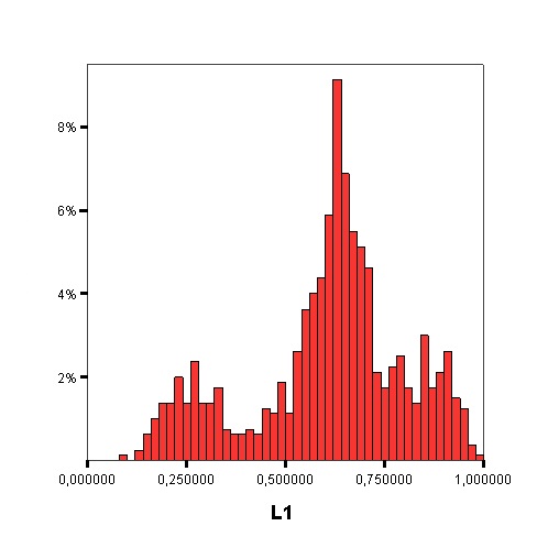 L1