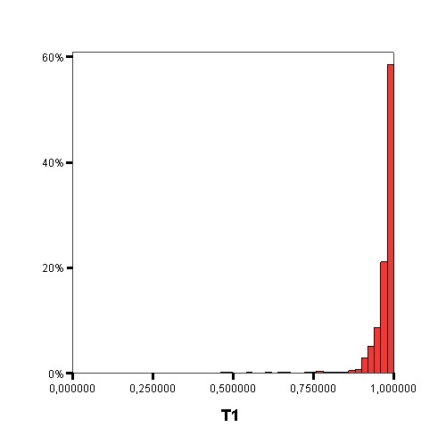 T1